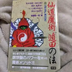 高藤聡一郎　等身大　遁甲　瞑想　気功 遁甲布 高藤聡一郎 等身大 遁甲 瞑想 気功 遁甲布 本