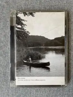 Mark Borthwick"WILL SHINE"DVD 2002