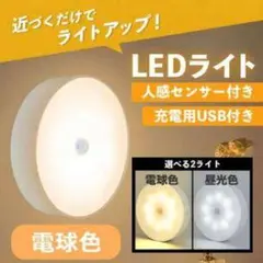 LEDライト 人感センサー 充電用USB付き