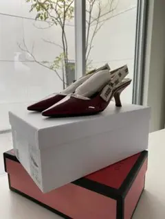 dior パンプス