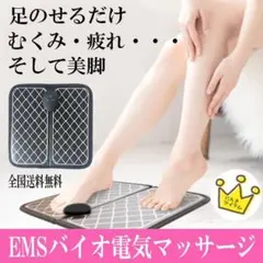 ãããããã ãããµãŒãž çŸè EMS 黿°åºæ¿ ãã£ãããã¹ ãã€ãšãã