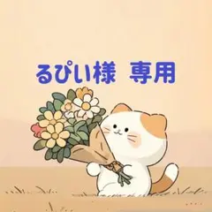 るぴい様　専用(8/31迄)