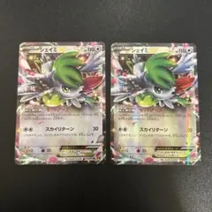 シェイミEX RR CP4ミラー