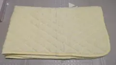 Item thumbnail for item 90d0dd0c-ec25-468b-a45b-94c00543390d