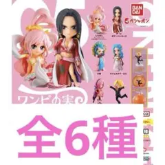 ワンピの実　第五海戦　フルコンプ　コンプリートセット