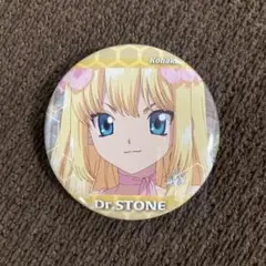 コハク Dr.STONE ドクターストーン ドクスト 場面写 缶バッジ アニメ