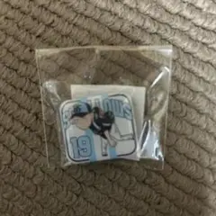 東京ヤクルトスワローズ 2025ピンバッチくじ 石川雅規　新品未開封