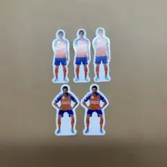 アルビレックス新潟　フレークシール1