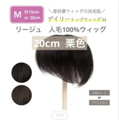 Item thumbnail for item b2d8d54d-409d-4481-9848-c8804ec54ed2