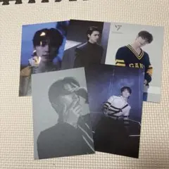 seventeen DINOカードセット