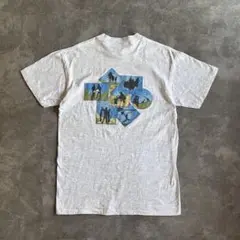 90s シングルステッチ スーベニア アート キャンプ ヴィンテージ