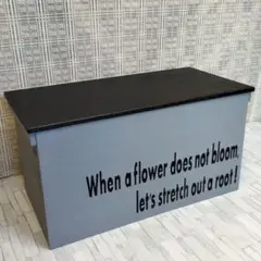 1《収納BOX》りんご箱 キャンプ インテリア 靴箱 木箱 宅配BOX 本棚