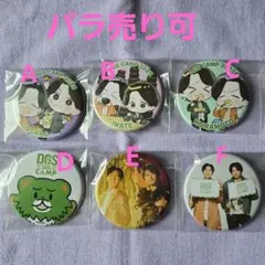 DGS CAMP 2025 くじ 缶バッジ