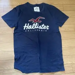 Hollister ネイビー Tシャツ XS