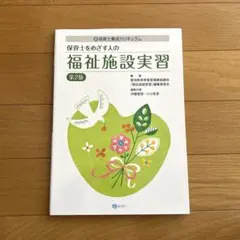保育士をめざす人の福祉施設実習 : 新保育士養成カリキュラム