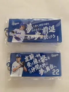 岡林勇希・大野雄大キーホルダーセット　ドラゴンズガチャ　応援歌キーホルダー