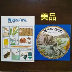 美品 松岡達英 ２冊セット☆海辺のずかん＆海べのいきもの 図鑑