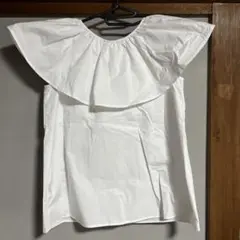 Item thumbnail for item 969040dd-4d4a-40f9-81bc-73b470e8de66