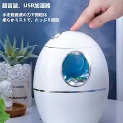 加湿器 卓上 大容量 800ml USB充電式 卓上加湿器 車載加湿器