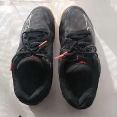 Item thumbnail for item 3321eec9-5bb1-491f-9bb1-76f457f493c8