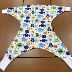 Item thumbnail for item a8a386a9-3514-4595-9d7e-2e878d0a483e
