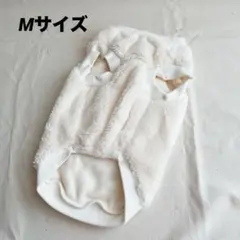 Item thumbnail for item 95f24d26-a174-48e1-bfbc-607564ac0a21