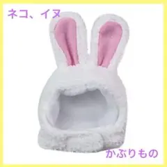Item thumbnail for item 77afc2fb-cb27-40f3-a84b-95f67304698a