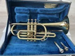 Item thumbnail for item 62375fc6-c06a-42a7-9acd-eeaf618d479b