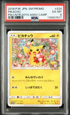 ピカチュウ: プロモ[SM-P 224](プロモーションカード「SM-P」)
