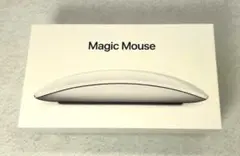 Apple Magic Mouse MK2E3J/A