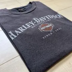 00s ハーレーダビッドソン USAプリント Tシャツ メンズ L ユニセックス