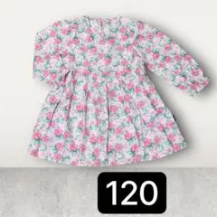 Item thumbnail for item fa06e220-2d3f-4914-a0c2-ff295d5756cf