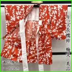 Item thumbnail for item 1289c7ec-c129-4116-b77e-2a41d8da4943