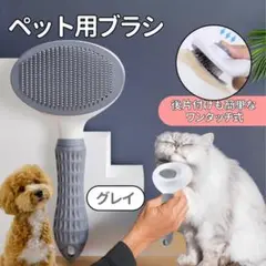 Item thumbnail for item 1deb49dc-c182-409c-a478-371597821f89
