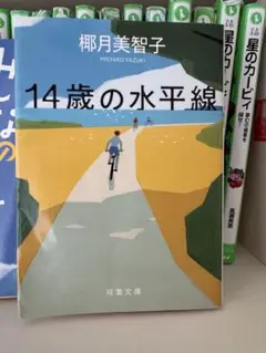 14歳の水平線／椰月美智子