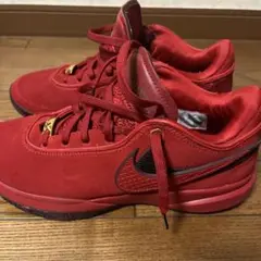 Item thumbnail for item 47329cb9-78c8-402f-806b-46ef8ea1bede