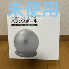 【未使用】フィットネスクラブがつくったバランスボール 55cm oasis