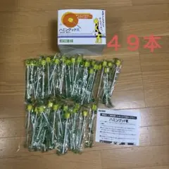 Item thumbnail for item 0366e2b0-7a13-420f-9f90-be9823eca2ed