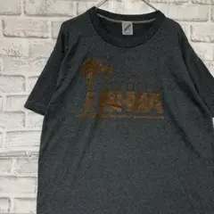 USA製90sヴィンテージTシャツ！シングルステッチ　グレー半袖古着　XL729