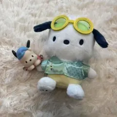 サンリオ ポチャッコのキーホルダーと光る置物