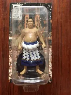 絵師　大下大門作　相撲木版画　若乃花幹士　千代の富士貢　セット メーカー公式ショップ】 千代の富士貢 若乃花幹士 相撲木版画 大