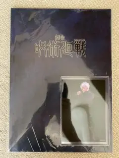 美品　舞台 呪術廻戦 ランダムブロマイド　パンフレットセット