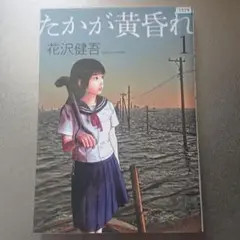 アイアムアヒーロー　初版帯付き全巻セット　+たかが黄昏れ　1巻　初版帯付き 2025年最新】アイアムアヒーロー 初版の人気アイテム - メルカリ