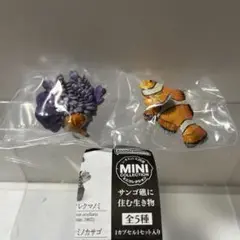 いきもの大図鑑ミニコレクションサンゴ礁に住む生き物 カクレクマノミ