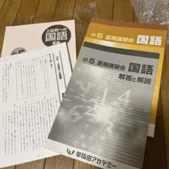 【裁断済み】2025年 小5 夏期講習 早稲田アカデミー 早稲アカ上位校 上位校への算数・理科・国語・社会・総合演習 小5（早稲田