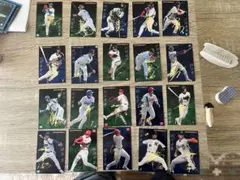 【超希少】プロ野球チップス2004年サインセット