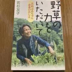 野草の力をいただいて : 若杉ばあちゃん食養のおしえ　値下げ！
