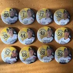 ソフトバンクホークス 選手バッジ 12個セット