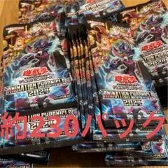 遊戯王 アニメーションクロニクル2024 約230パック 訳あり