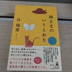 神さまのいうとおり　谷瑞恵